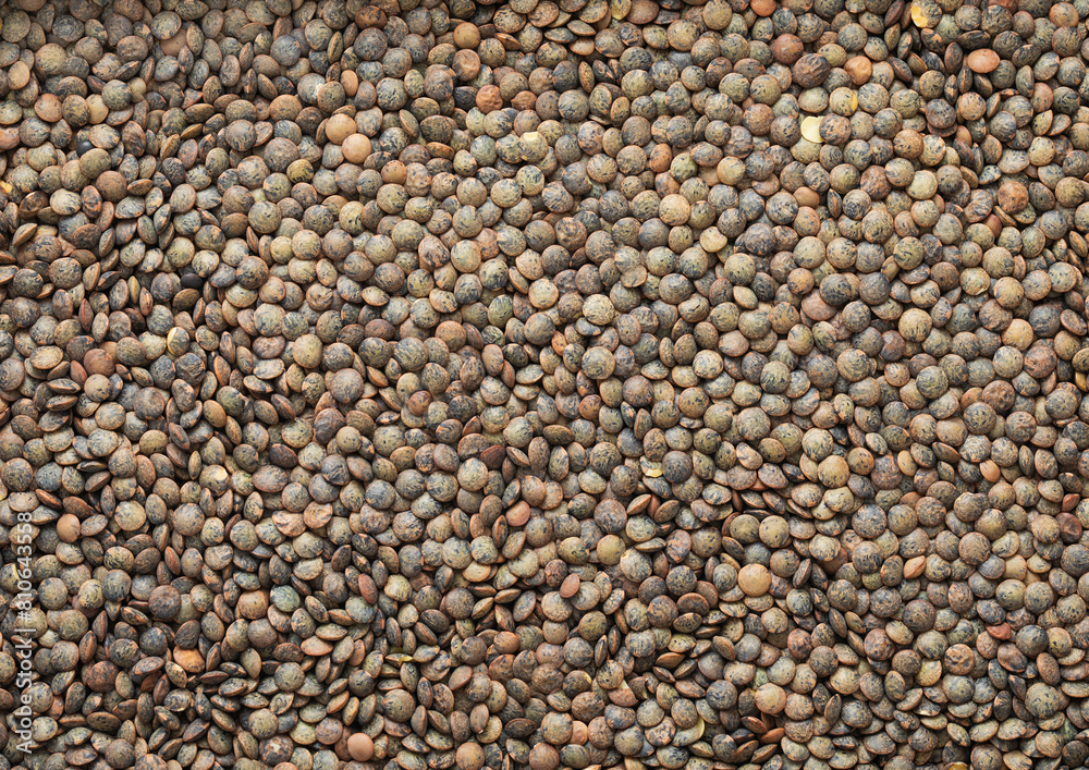 Green raw healthy lentils grain seeds textured background.Macro. Green raw healthy lentils grain seeds textured background.Macro.