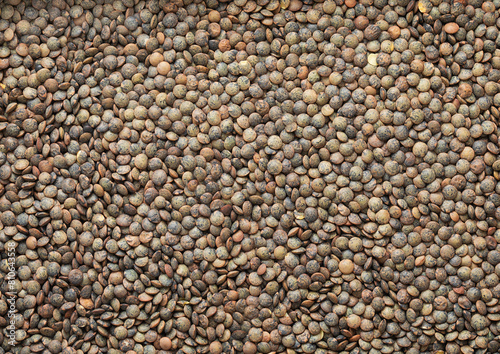 Green raw healthy lentils grain seeds textured background.Macro.