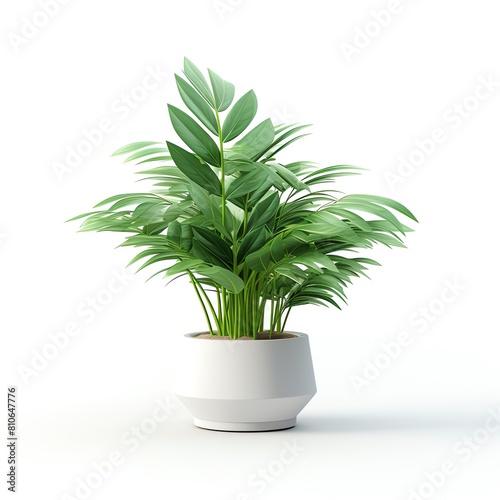 Minimal many indoor plant plants, monstera, jade, snake plant, white pots standing at the wood wall with window mockup white clean, bright light