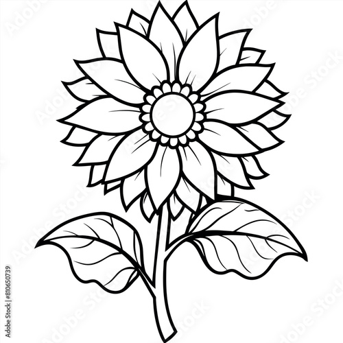 Sunflower flower outline illustration coloring book page design   Sunflower flower black and white line art drawing coloring book pages for children and adults