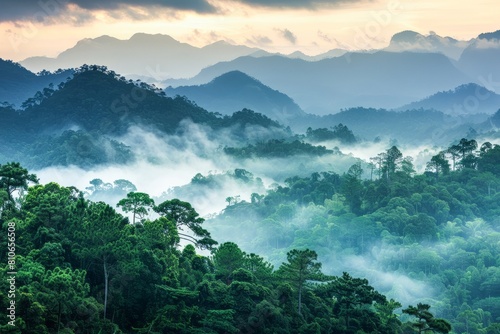 Misty Morning View Over the Lush Green Mountain Range at Dawn