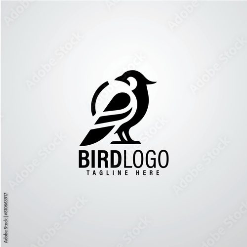 Bird logo designs 
