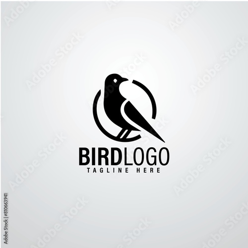 Bird logo designs 