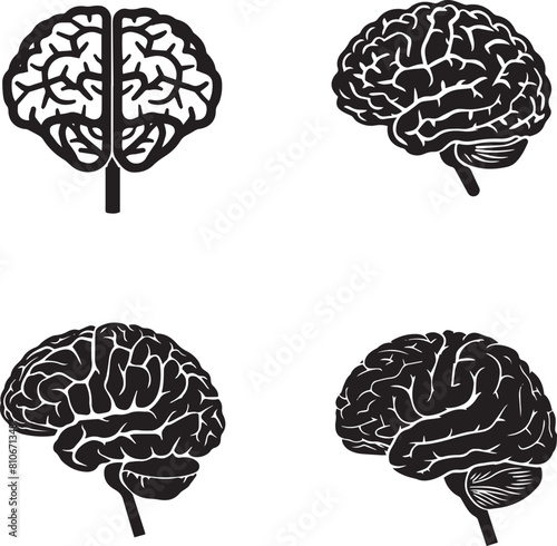illustration of brain