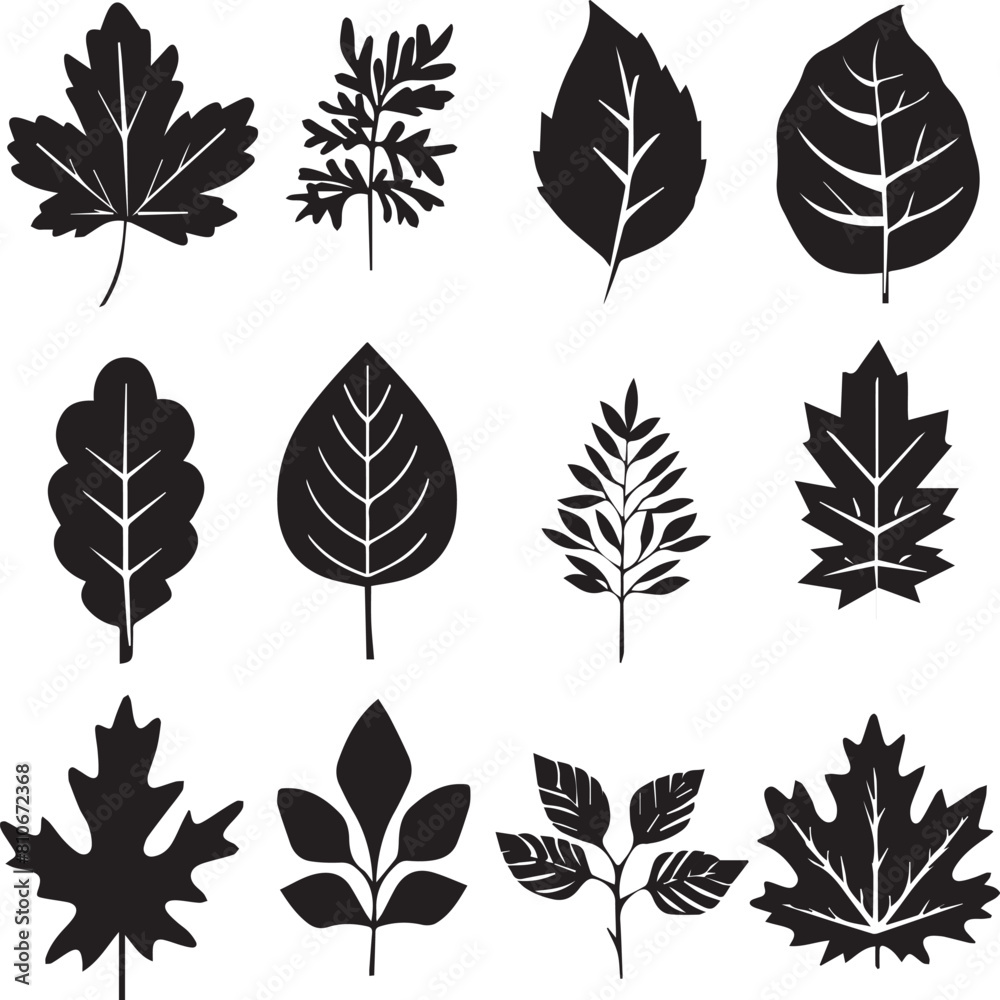 Fototapeta premium set of leaves