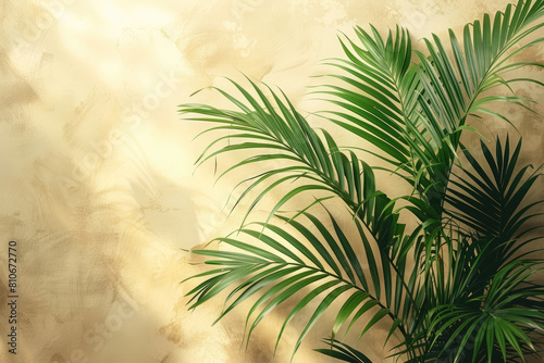 The wall with green plants  palm leaves and monstera leaves  golden light  photography backdrop. Created with Ai