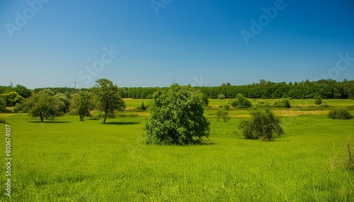 Beautiful countryside in Ukraine Europe Summertime nature photo of lush green pastures and clear blue sky Explore Earth s beauty Copy space image Place for adding text or design