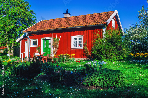 Man sitting and reading the newspaper in the garden of a red cottage in the country photo