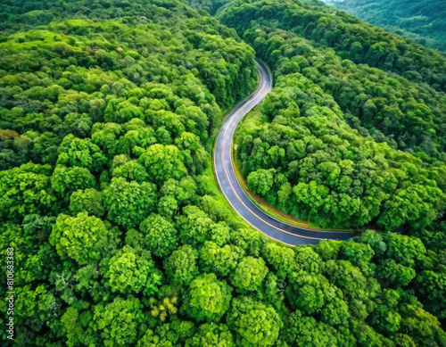 Bird's eye view from above of a beautiful winding road in a green forest during the rainy season.