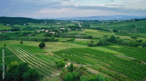 Wallpaper Mural Aerial view of green rolling hills with agricultural fields. Torontodigital.ca