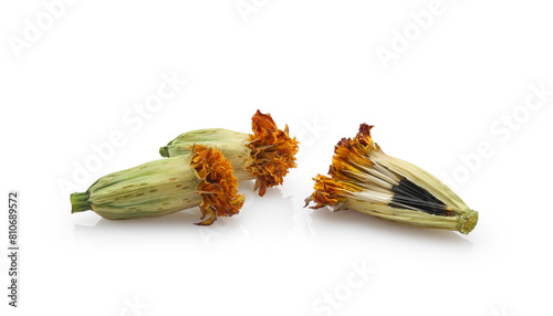 Three dry tagetes or marigold flower heads with seeds isolated on white background. Annual flowers growing, gardening.	
