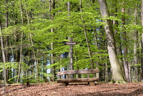 Echo Bench in Spring in the Town Walsrode, Lower Saxony photo