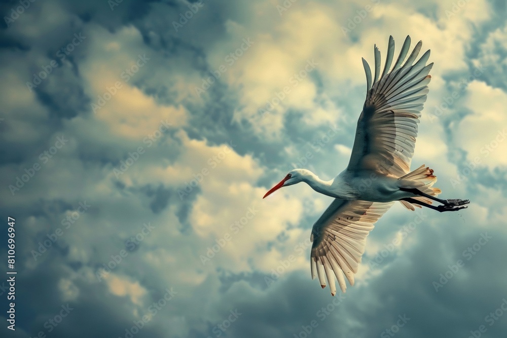 Fototapeta premium Majestic Stork Soaring in Cloudy Sky