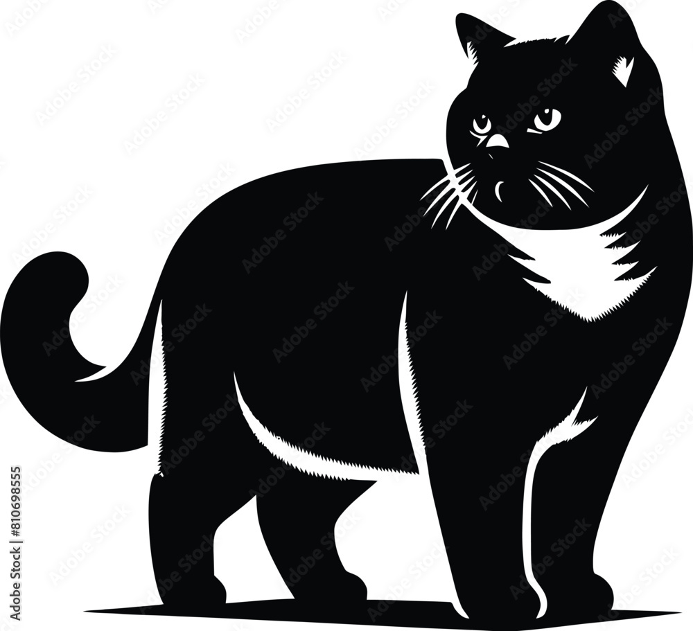 cat silhouette vector cat silhouette vector