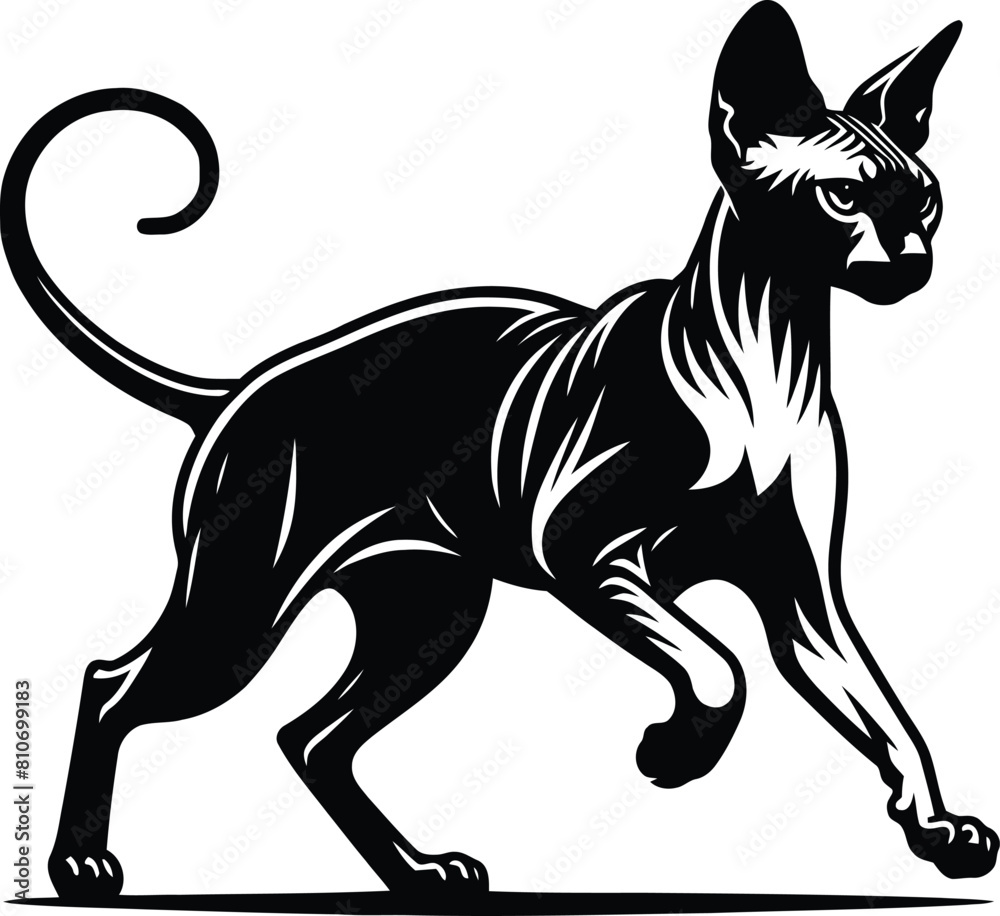 Fototapeta premium cat silhouette vector