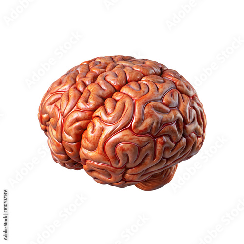 3D Human Brain with blood texture Transparent PNG Detailed Anatomical Illustration.