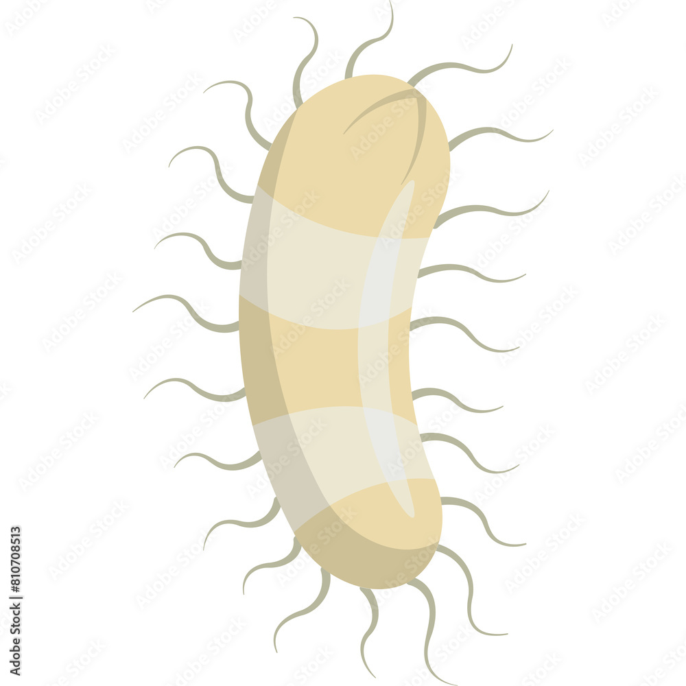 Microbes Bacteria Illustration Microbes Bacteria Illustration
