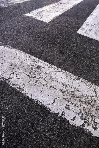 Zebra crossing on the asphalt
