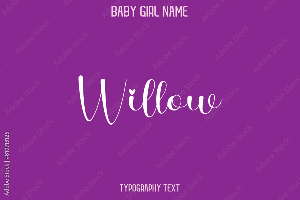 Willow Woman's Name Cursive Hand Drawn Lettering Vector Typography Text