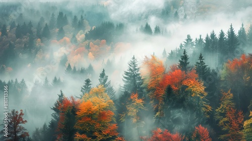 Fototapeta Naklejka Na Ścianę i Meble -  Foggy autumn landscape in black forest
