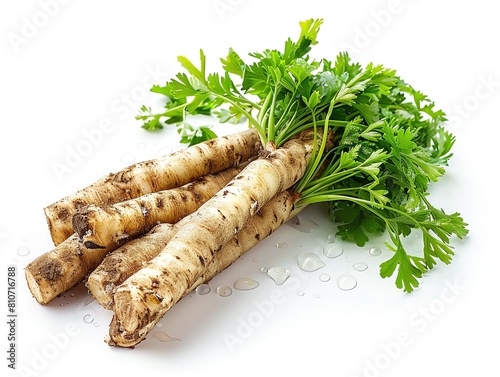 Fingerroot with a sprinkle of fresh dew, enhancing the freshness and vitality of the herb, isolated on white