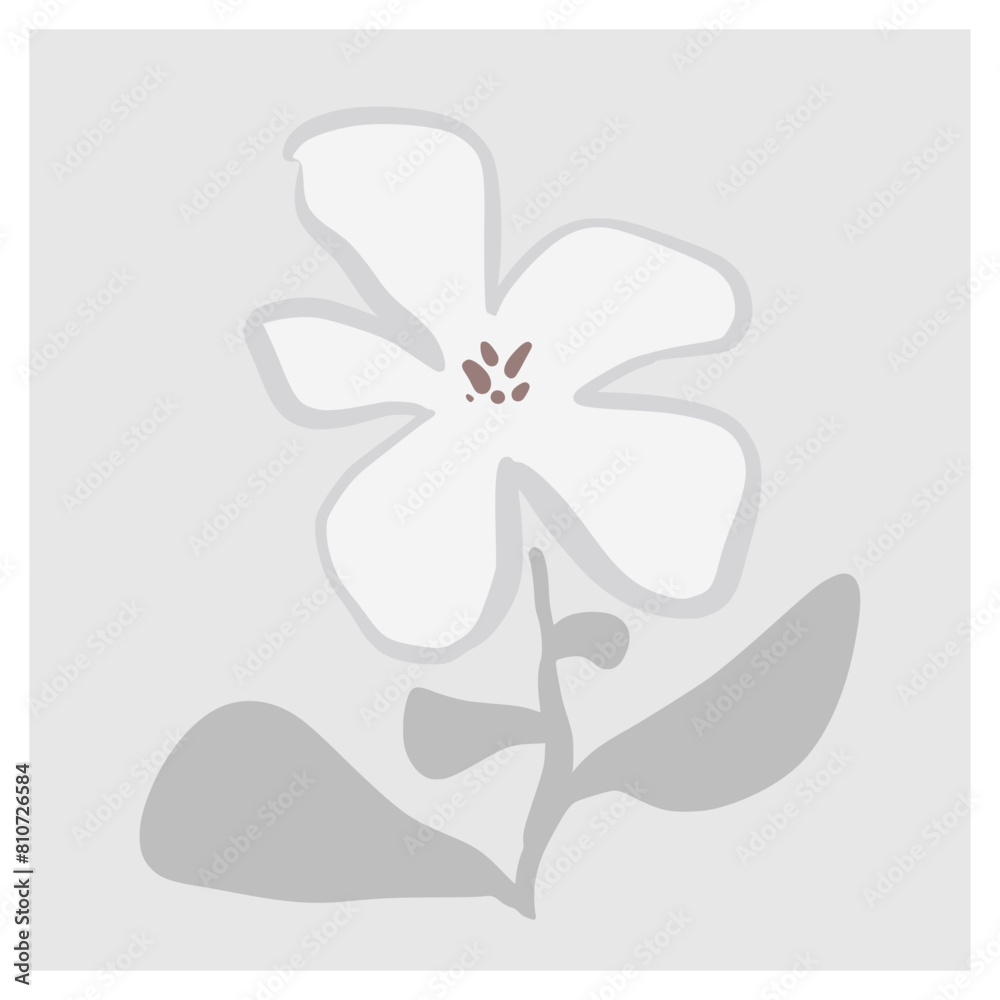 White botanical flower framed Minimal Art Print Hand drawn leaves shapes matisse style, naive art, contemporary backgrounds. plant vector illustration White botanical flower framed Minimal Art Print Hand drawn leaves shapes matisse style, naive art, contemporary backgrounds. plant vector illustration