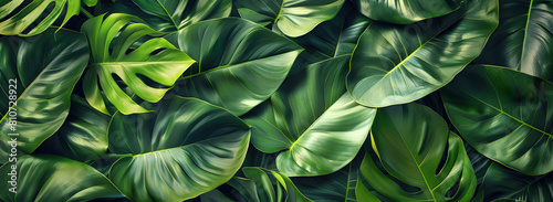 tropical green leaves texture and abstract background  Tropical Green Leaves Abstract Texture 