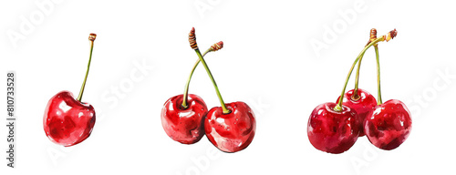 Hand drawn illustration of cherry isolated on transparent background cutout png