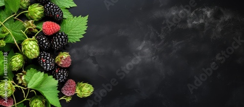 Copy space image of green ripe hop cones a natural ingredient set against a black stone concrete surface perfect for brewery or bakery backgrounds photo