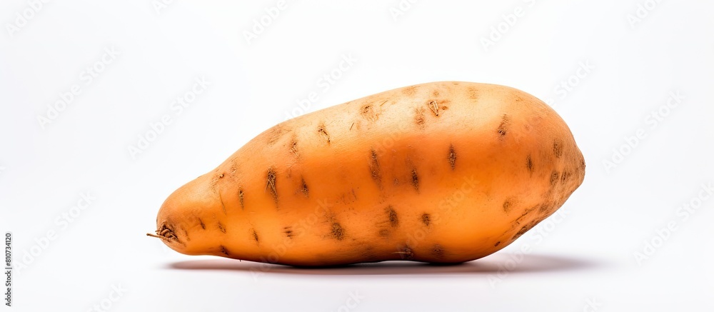 A sweet potato featured in a copy space image against a white background A sweet potato featured in a copy space image against a white background