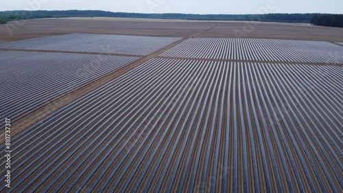 system of drip irrigation of fields, view from the height of a drone