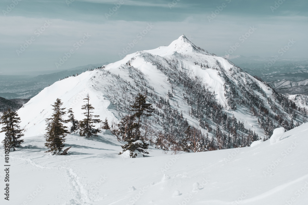 Obraz premium 冬山の風景