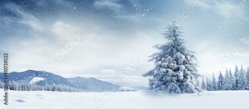 A stunning pine tree covered in snow creating a perfect backdrop for winter and Christmas holiday celebrations with plenty of copy space for images