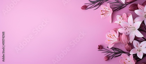 On a pink paper background there is a lovely arrangement of pink flowers creating a beautiful and harmonious copy space image
