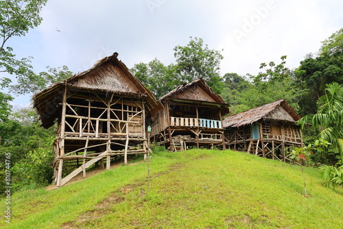 Cuadro en lienzo Scenery of lush jungle at Bukit Lawang - Gunung Leuser National Park