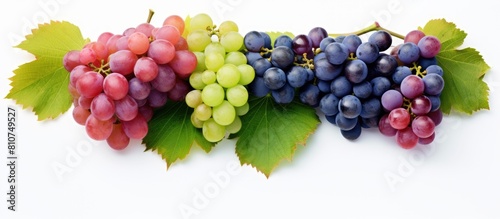 A layout of green pink and blue grapes with leaves isolated on a white background The image includes copy space for your text to be added