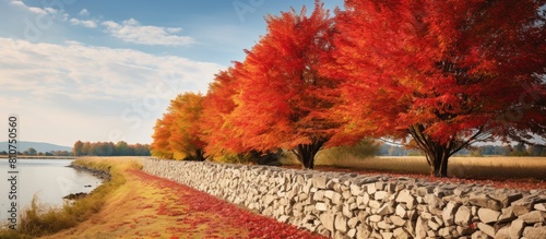 Autumn view of a dyke with a background of colorful foliage leaving ample copy space image photo