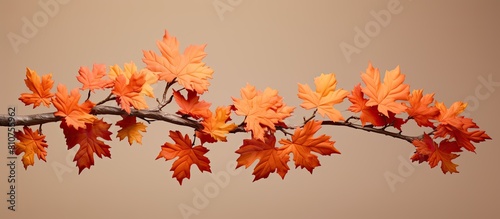 An artificial maple branch with lifelike leaves creating a stunning visual effect for any space Perfect for arranging decorative settings or creating a captivating copy space image