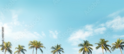 A scenic view of palm tree crowns set against a serene sky with fluffy white clouds perfect for a copy space image
