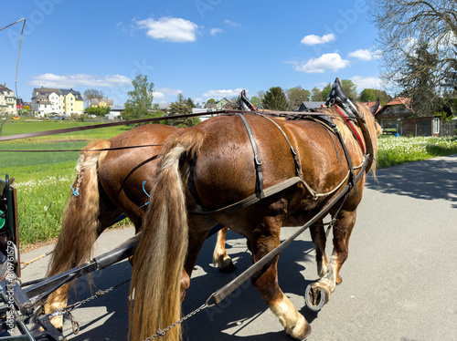 Canvas Print Old horse-drawn carriage in a village with blue sky