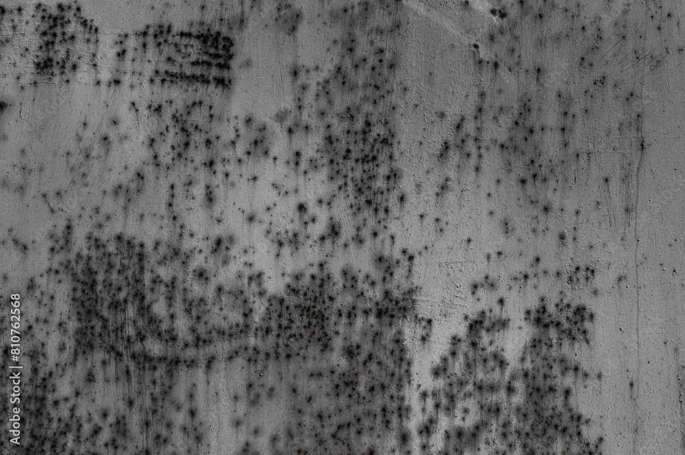 Fototapeta premium gray texture in the photo of an old iron wall