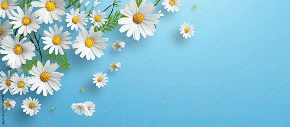 A summer postcard with a delightful meadow of camomiles and daisies set against a captivating blue background The flat lay design leaves ample copy space for creativity A summer postcard with a delightful meadow of camomiles and daisies set against a captivating blue background The flat lay design leaves ample copy space for creativity