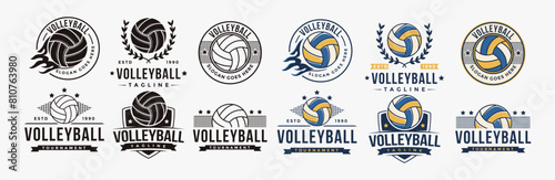 Set of vintage badge emblem Volley club logo, Volley tournament vector icon on white background