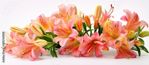 White background with copy space image showcasing a beautiful bouquet of alstroemeria flowers
