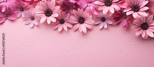 On a pink paper background there is a lovely arrangement of pink flowers creating a beautiful and harmonious copy space image