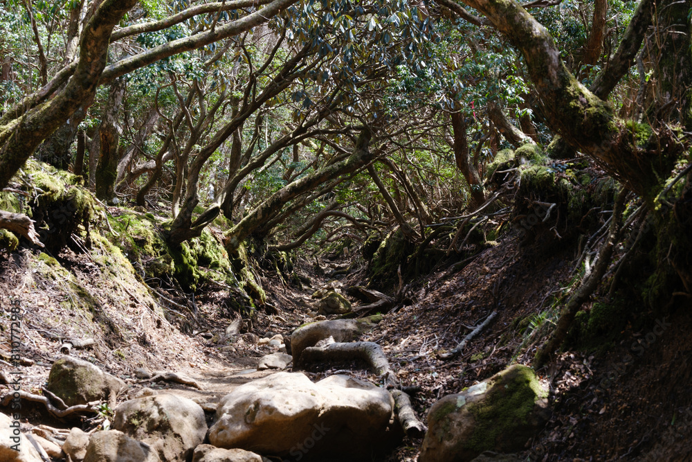 山の風景 山の風景