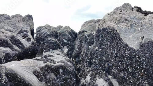 Low angle footage of dramatic rocks covered in mussels and sea creatures on a sandy beach in West Cork, Ireland photo