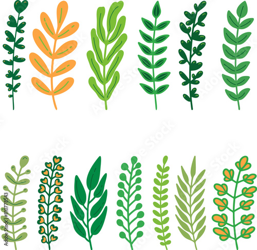Set of cartoon leaves, branches, flowers, flourishes. Design element for banner, sign, poster, decoration. Vector illustration © liubov