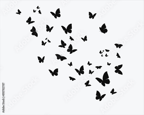 flock lack butterflies design 
