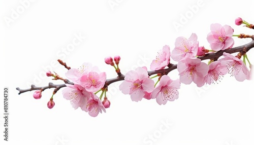 AI generated illustration of cherry tree blossoms in full bloom